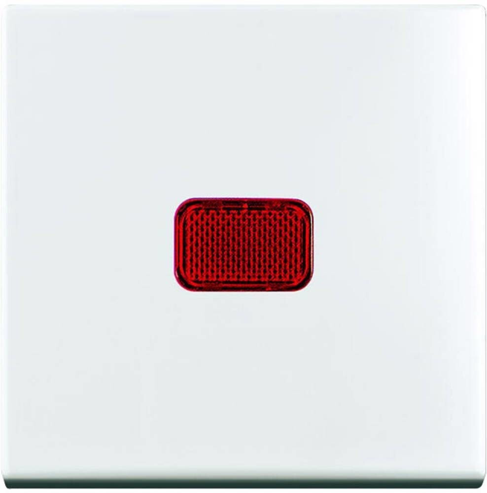 Busch-Jaeger 2509-914