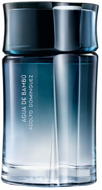 Adolfo Dominguez Agua de Bambu Man Eau de Toilette (120 ml)