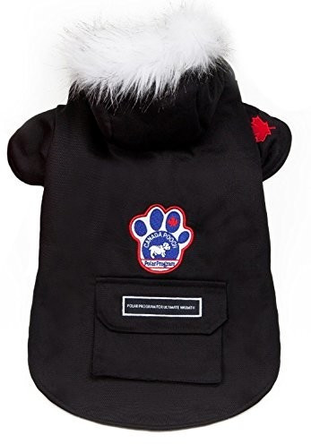 Canada Pooch Veste Wilderness noir