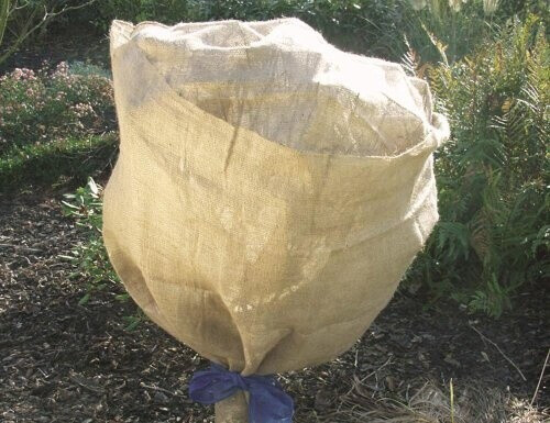 Green Green Tower Jute Protective Fleece 105 x 500 cm - Product image 1 of 2