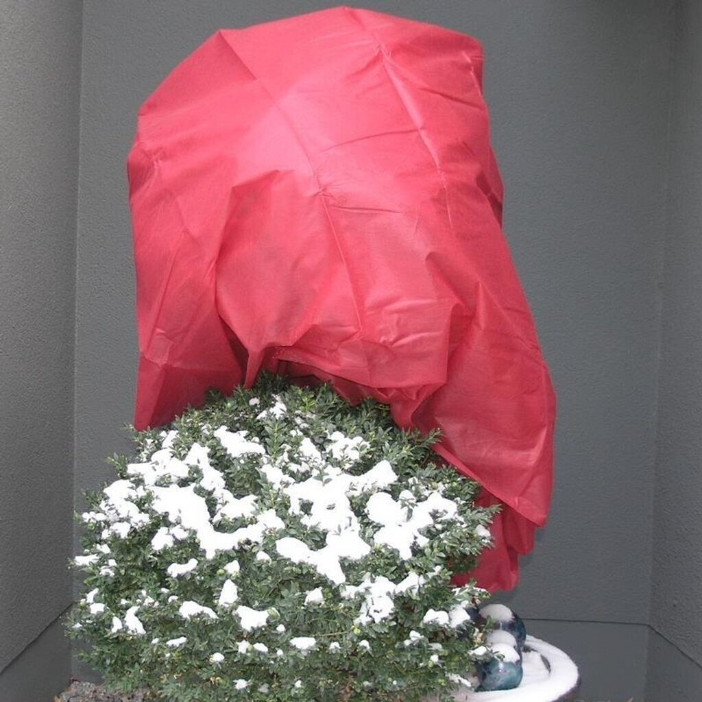 Noor Winter Fleece PP 1,6 x 5 m Red