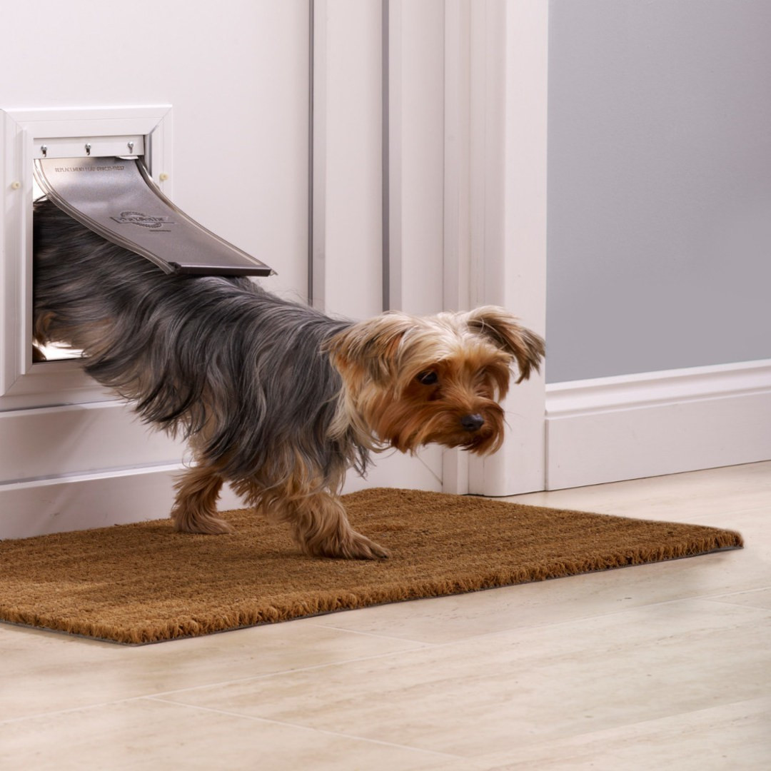 Petsafe Porte pour chien L Petsafe Porte pour chien L