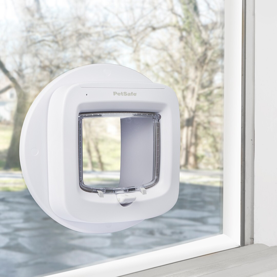 Best microchip cat hotsell flap with timer