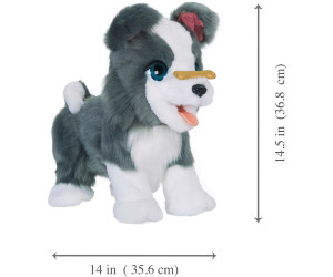 Furreal Friends Ricky Mein Schlaues Hundchen Ab 98 99 Dezember 2020 Preise Preisvergleich Bei Idealo At