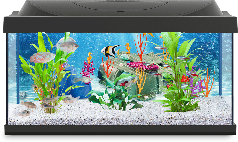 Tetra Aquarium Playmobil 54l