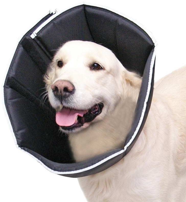 All for Paws Comfy Cone XS Black