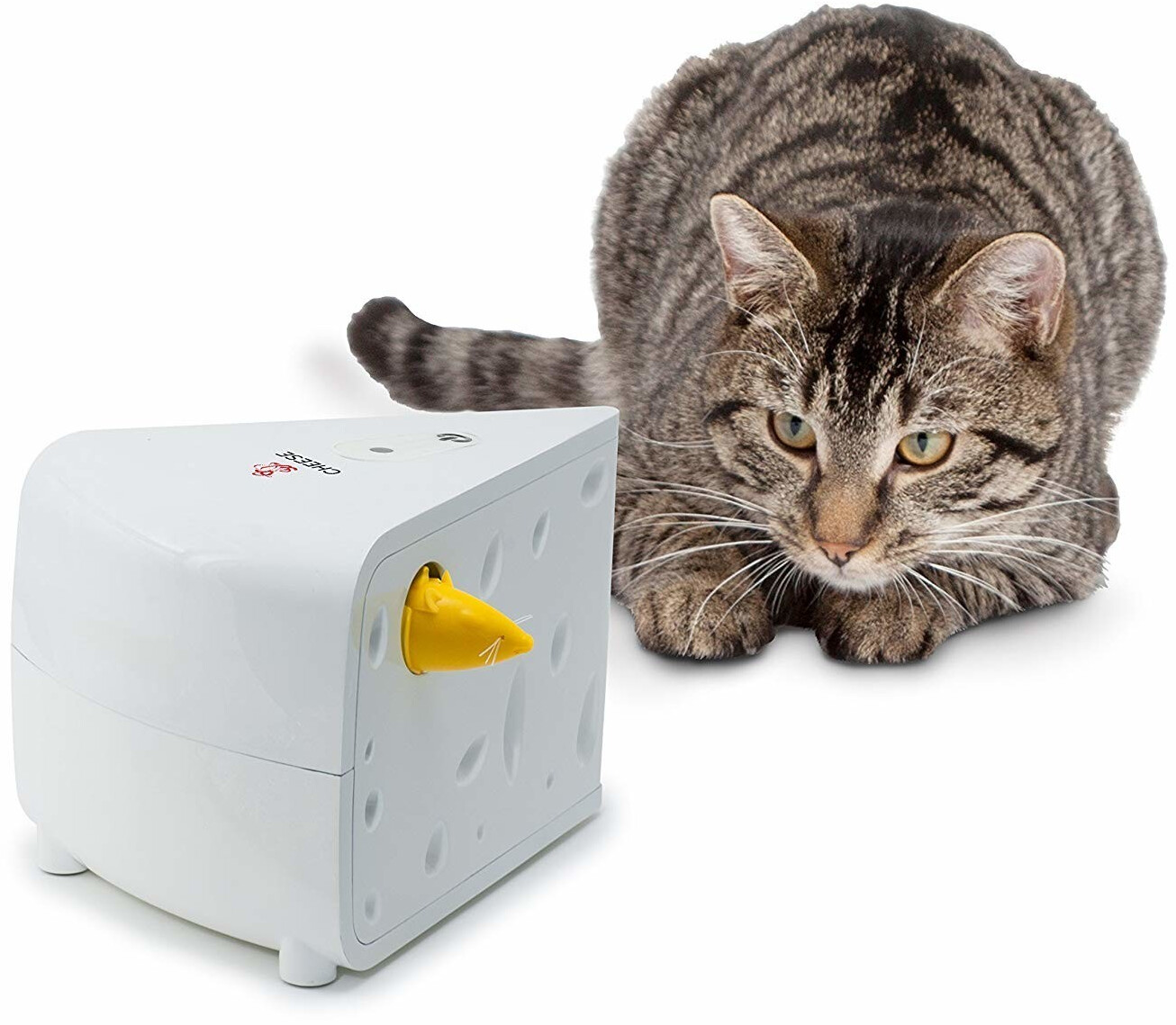 Petsafe Jeu d'intelligence pour chat