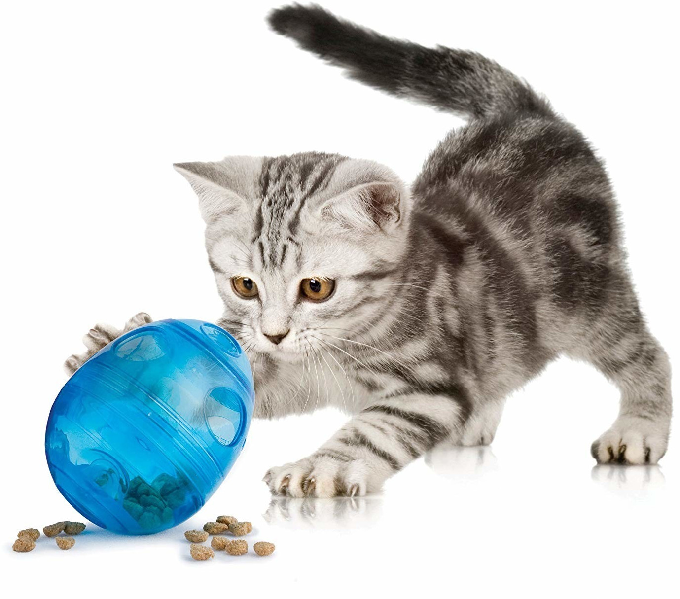 Petsafe Balle pour chat Petsafe Balle pour chat