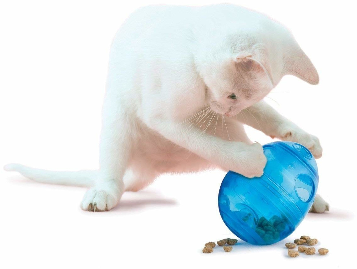 Petsafe Balle pour chat Petsafe Balle pour chat