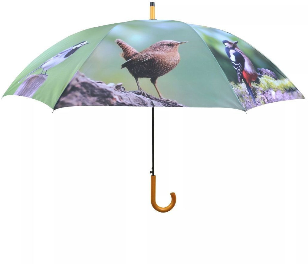 Esschert Parapluie oiseaux