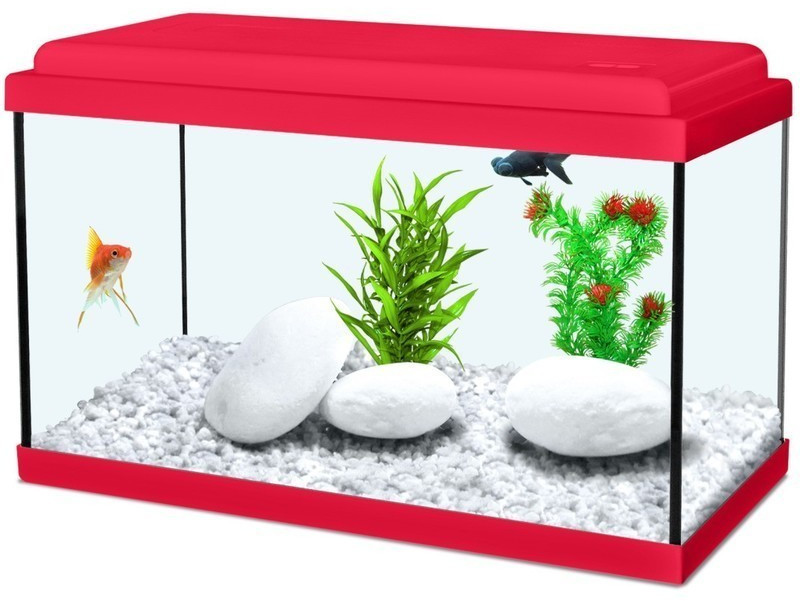 Zolux Nanolife Kidz 35 12,5 L rouge