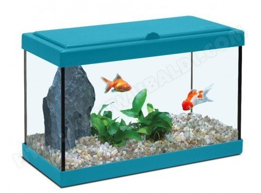 Zolux Nanolife Kidz 35 12,5 L bleu