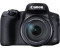 Canon PowerShot SX70 HS Standard