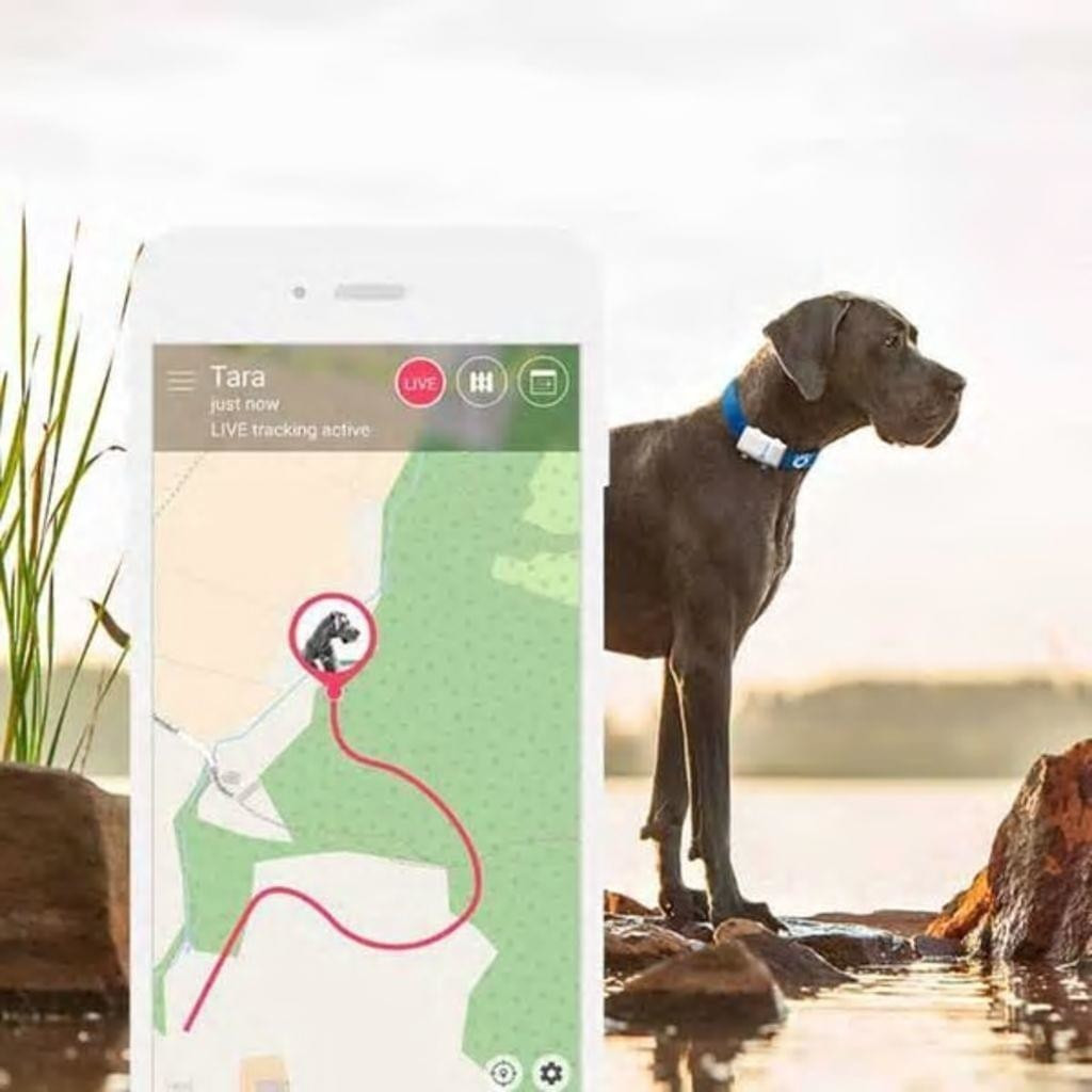 Tractive GPS Tracker Dog XL au meilleur prix sur idealo.fr