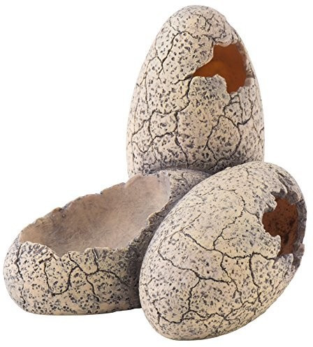 Exo Terra Dinosaur Eggs