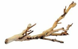 Exo Terra Branche d'arbre Forest Branch petite (PT3075)
