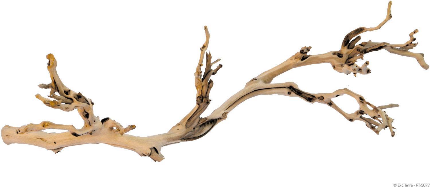 Exo Terra Branche d'arbre Forest Branch