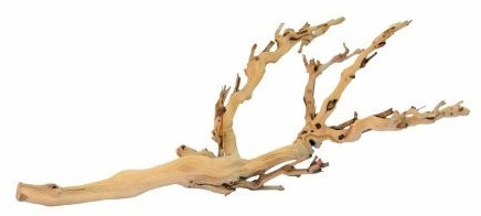 Exo Terra Branche d'arbre Forest Branch moyenne (PT3076)