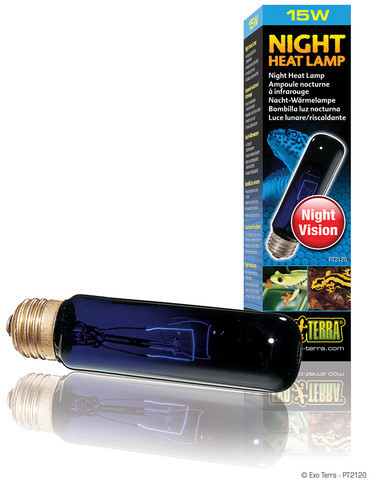 Exo Terra Night Heat Lamp A19 100 W (PT2058)