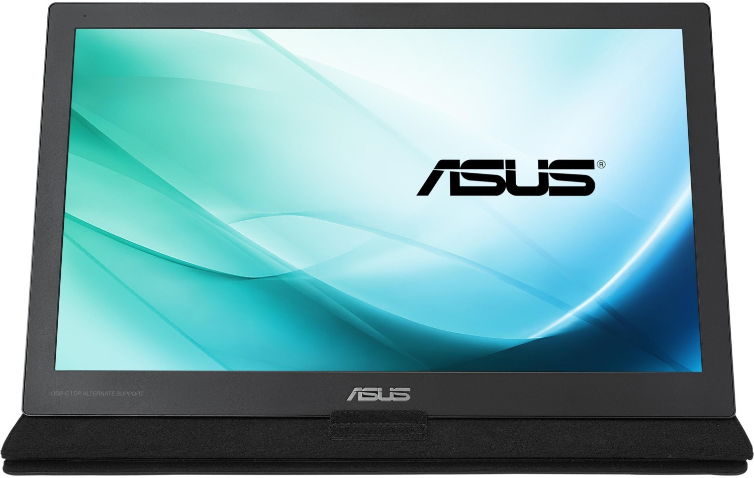 Asus MB169C+