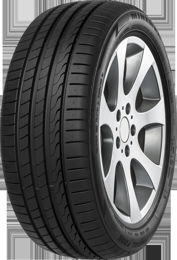 Minerva F205 225/40 R19 93Y