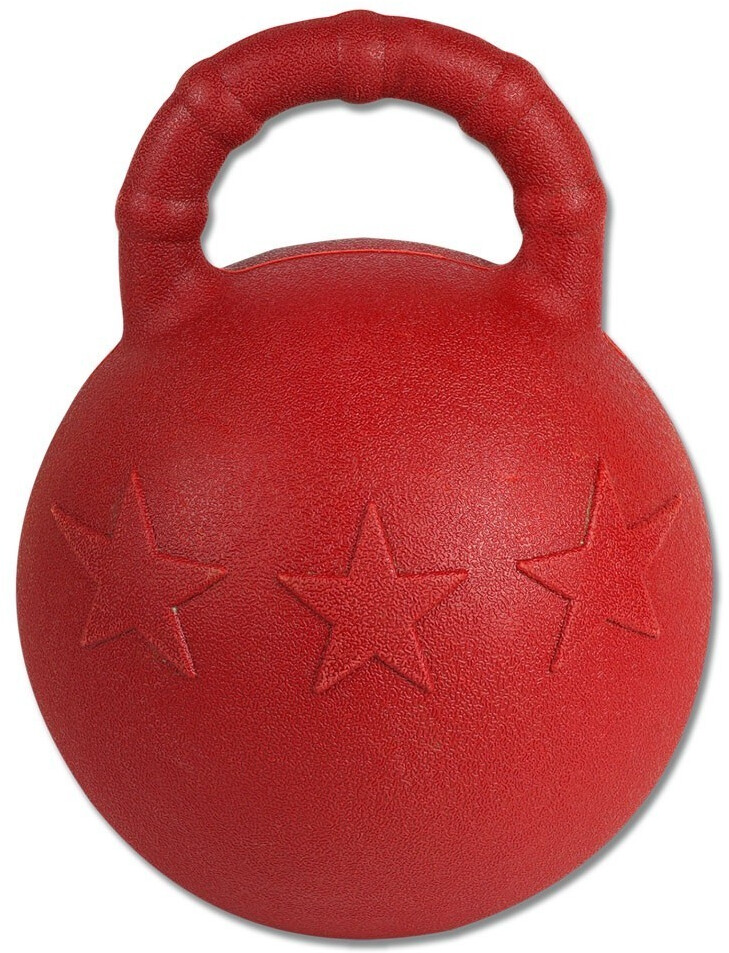 Waldhausen Fun Ball 25cm