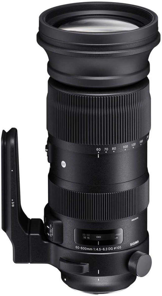 sigma 100 600 nikon