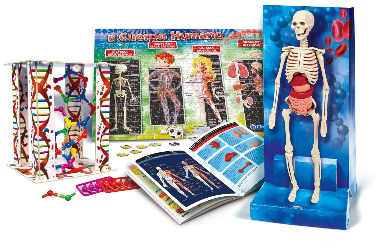 Clementoni montessori el cuerpo humano deals