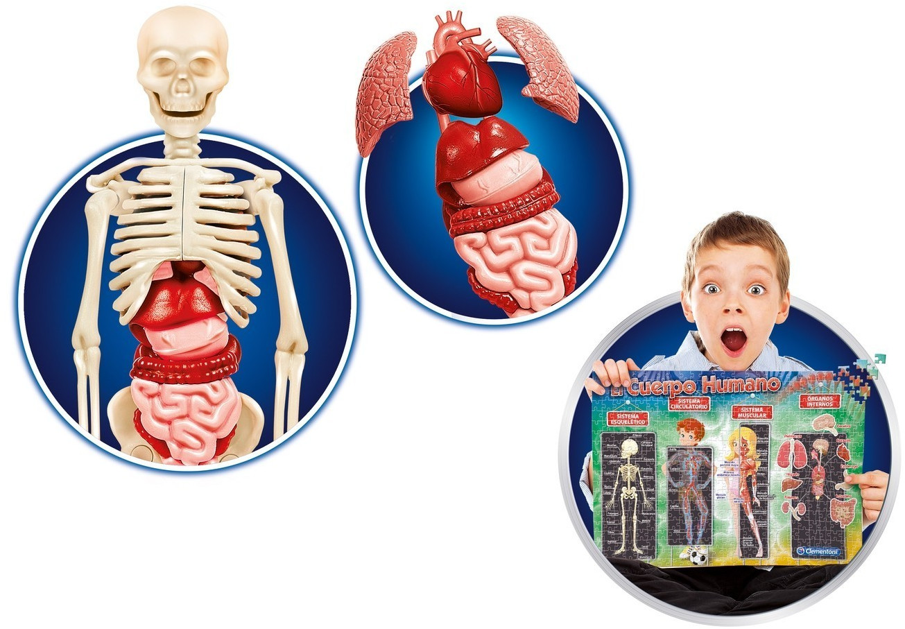Juego el cuerpo humano clementoni top