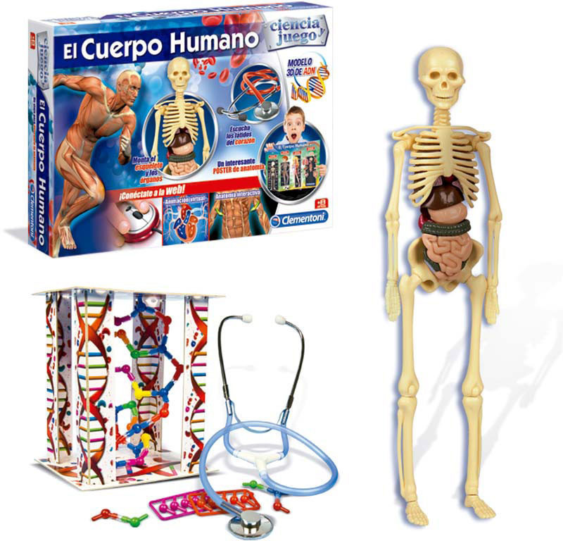 Juego el cuerpo humano clementoni on sale