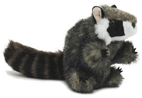 Folkmanis Raton laveur (2646)