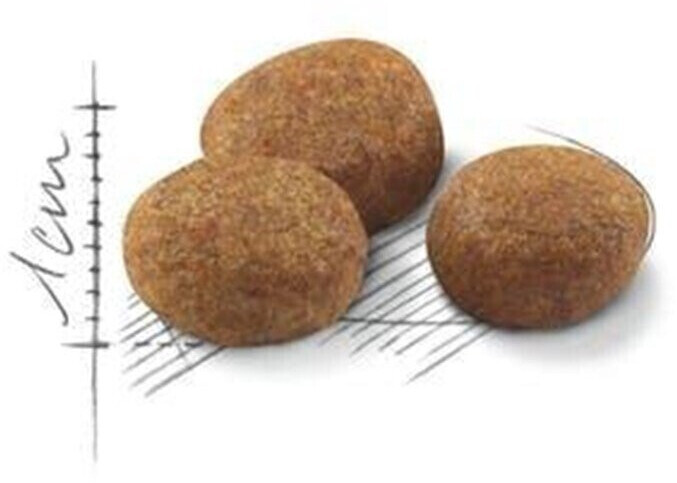 Royal Canin Croquettes pour chat 10kg Royal Canin Croquettes pour chat 10kg