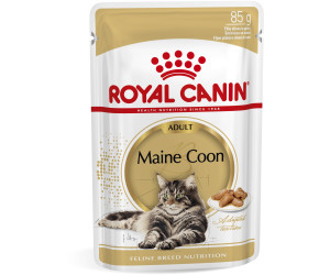 Royal canin kitten shop food best price