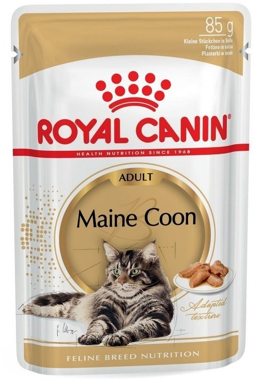 Royal canin maine online coon kitten wet food