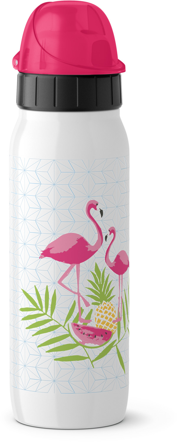 Emsa Iso2Go 0,5L Flamingo