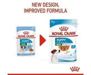Royal canin poodle puppy food review hot sale