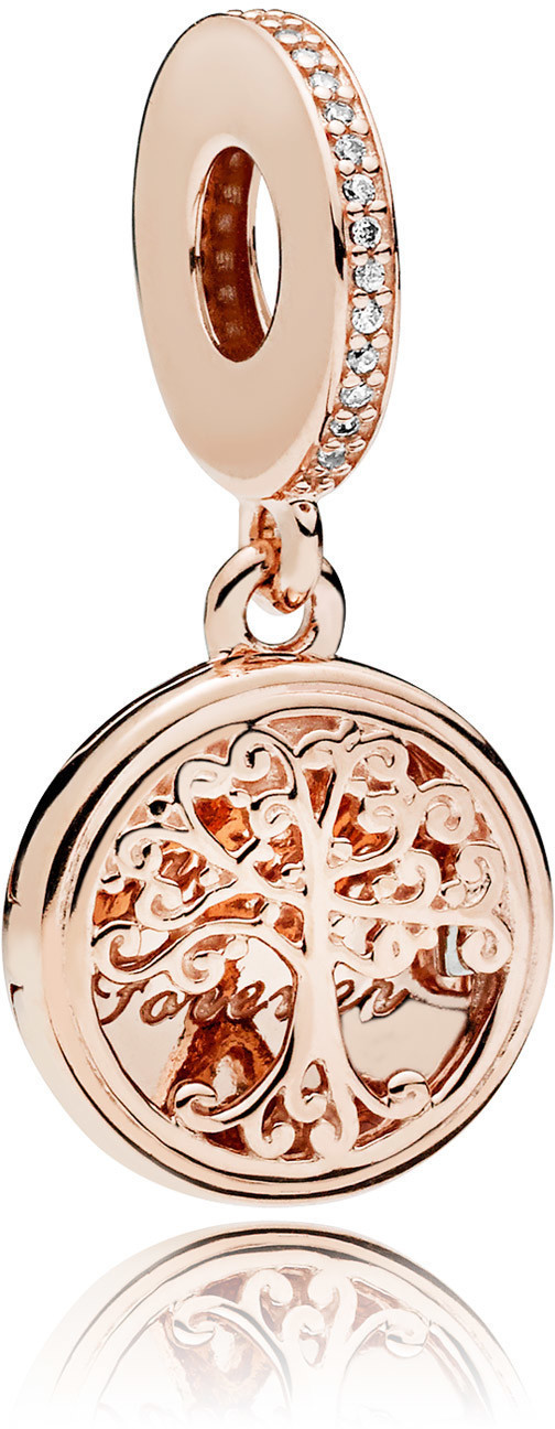 Pandora Family Roots (781988CZ)