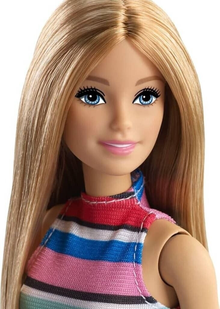 Barbie Doll and Accessories (FVJ42)