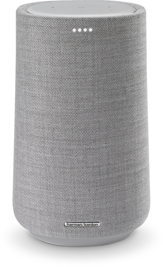 Harman-Kardon Citation 100 gris