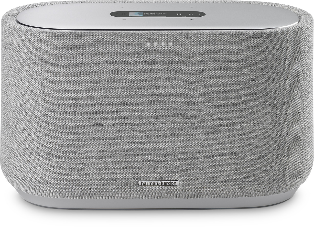 Harman-Kardon Citation 300 gris