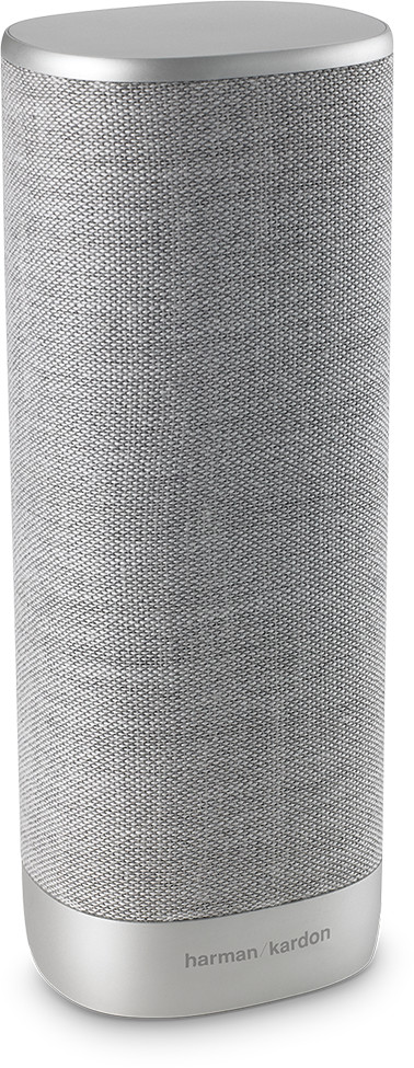 Harman-Kardon Citation Surround gris