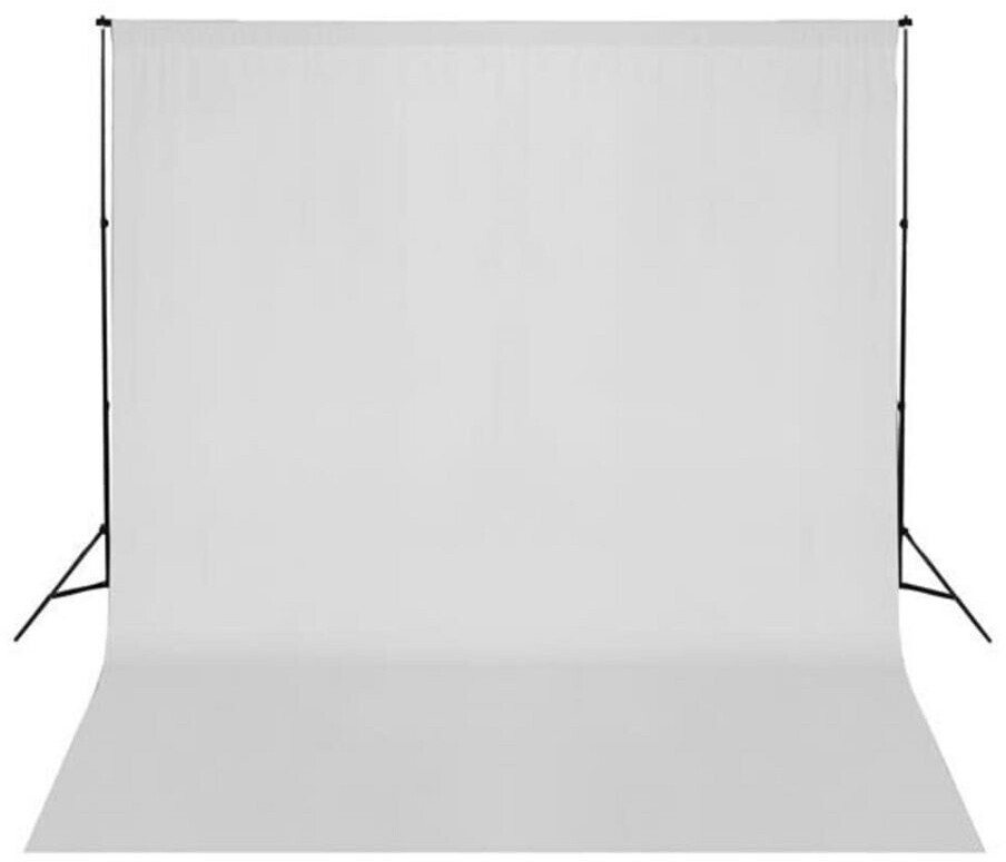 VidaXL Photo Background 300 x 300 cm