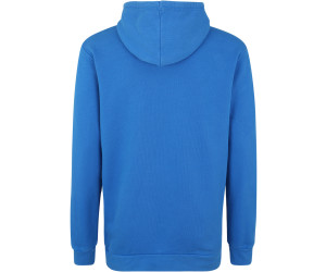 adidas trefoil hoodie bluebird
