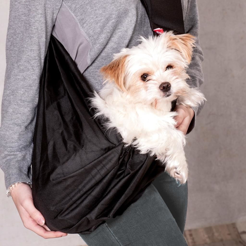 4LazyLegs Sac de transport pour chien