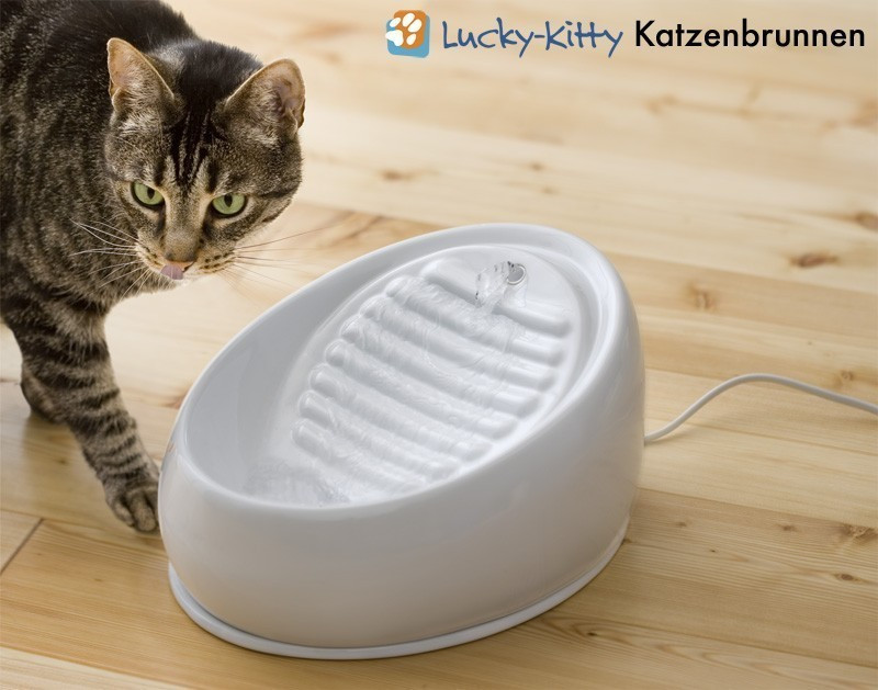 Lucky-Kitty Fontaine à eau pour chat 1.5 L Lucky-Kitty Fontaine à eau pour chat 1.5 L