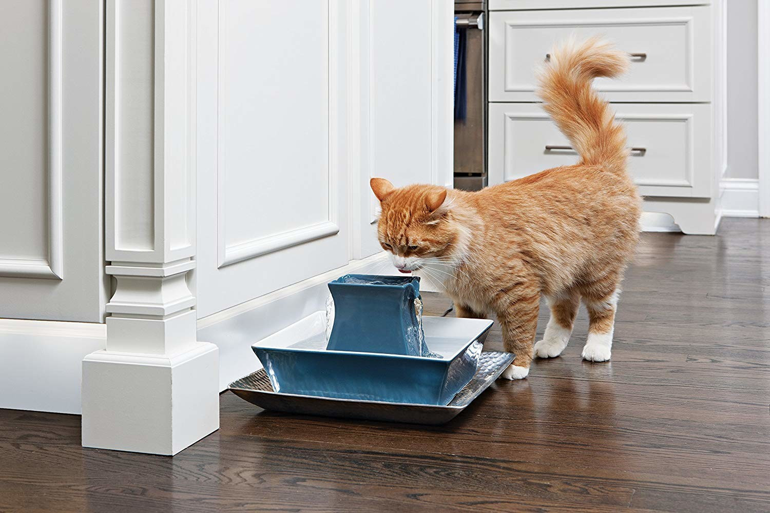 Petsafe Fontaine à eau pour chat bleu Petsafe Fontaine à eau pour chat bleu