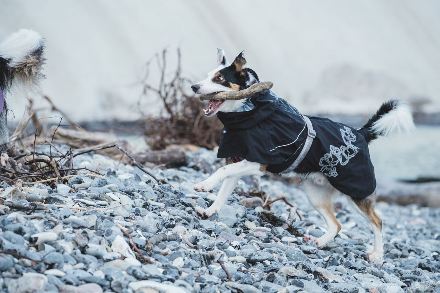 Hurtta Imperméable pour chien 60 Black Hurtta Imperméable pour chien 60 Black