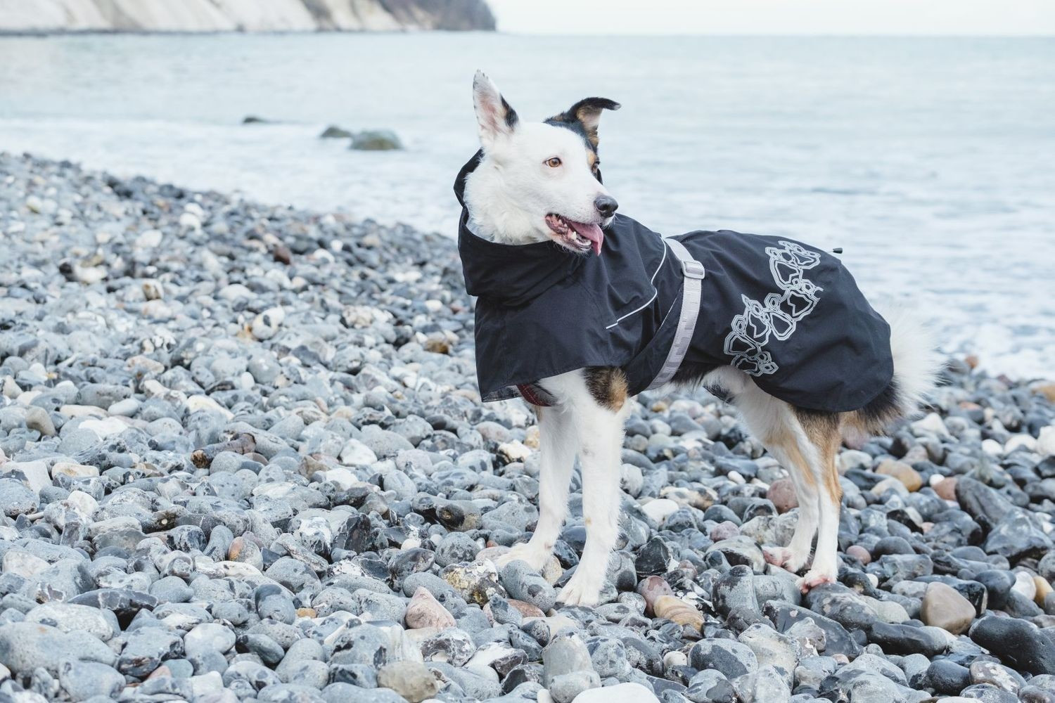 Hurtta Imperméable pour chien 60 Black Hurtta Imperméable pour chien 60 Black
