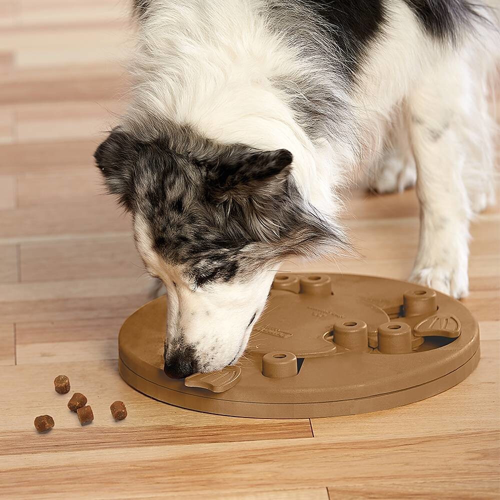 Nina Ottosson Jouet à friandises pour chien Nina Ottosson Jouet à friandises pour chien