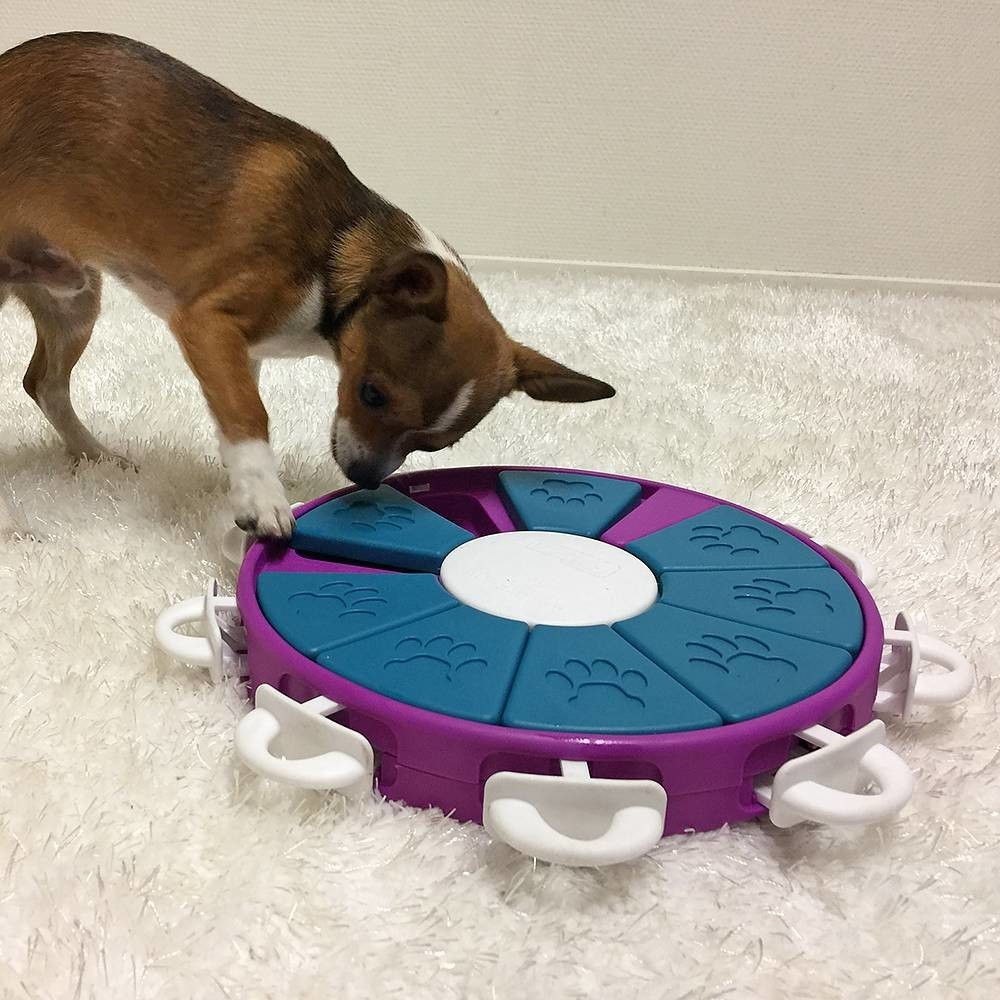 Nina Ottosson Jeu d'intelligence pour chien Nina Ottosson Jeu d'intelligence pour chien
